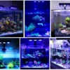 SP029 Reef Aquarium Light