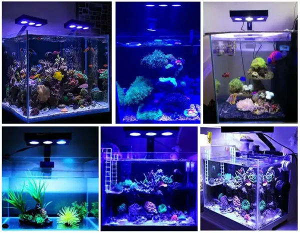 SP029 Reef Aquarium Light