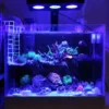 SP029 Reef Aquarium Light