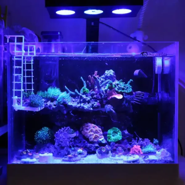 SP029 Reef Aquarium Light