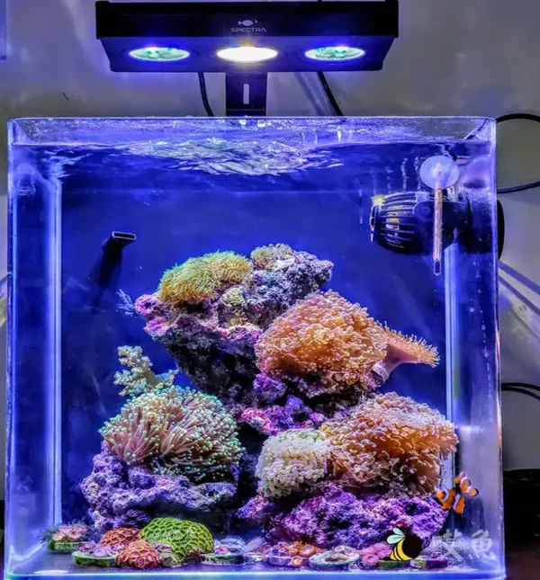 SP029 Reef Aquarium Light